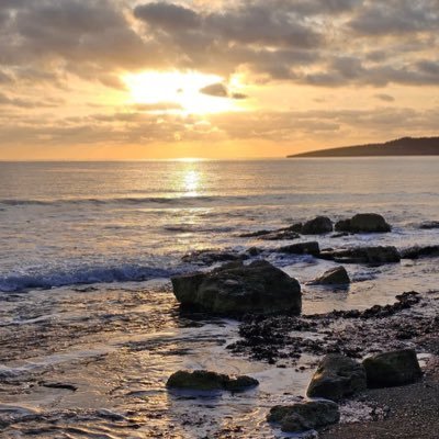 IyaseJesse5's profile picture. 