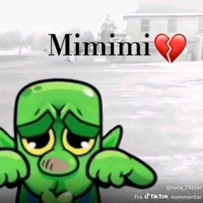 Vigownl's profile picture. 16🇩🇰🇮🇸 | player for @espumagg | 1x fncs semi | @Frederank 🦁