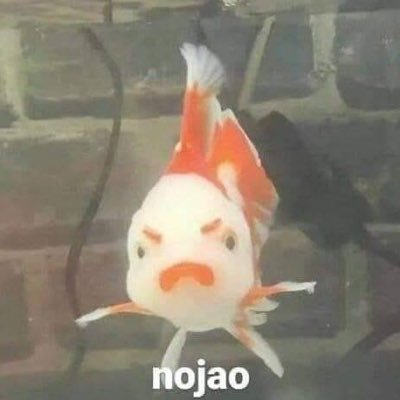 galihdzd's profile picture. 