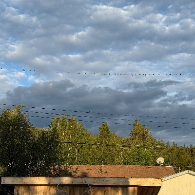 blasttmann's profile picture. 