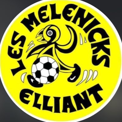 Les_Melenicks's profile picture. Bienvenue sur le compte des Melenicks d’Elliant !