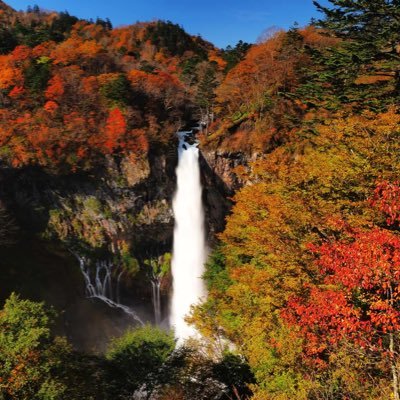 nami078_namie's profile picture. 趣味は、ピアノを弾くこと、音楽鑑賞、ガーデニング、ゴルフです。 好きなアーティストはチャゲアスとASKAさんです。宜しくお願いします🤲。