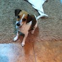 Doris Ostrowski - @DorisOstrowski - Twitter