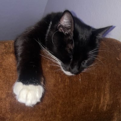 Irontraceur761's profile picture. 