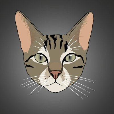 kitkat_mode's profile picture. In memory of KitKat — the cat who started a movement.
Join the #KITKATARMY #KITKATMODE

Ca: D11