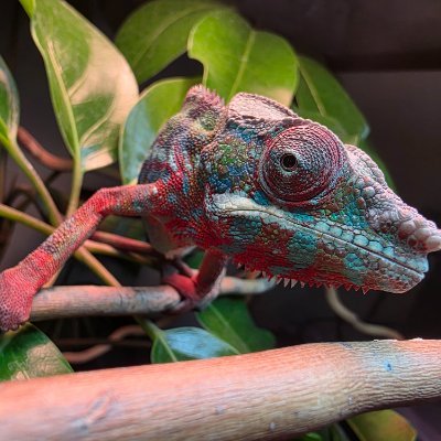 Hushh0615's profile picture. 