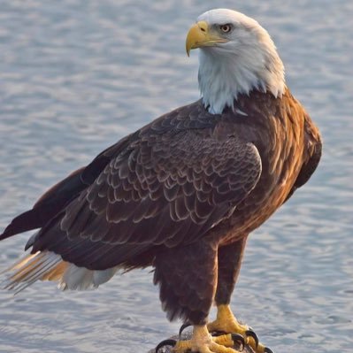 Stanikzai03Nds's profile picture. خدای ج ـ هیواد ـ جمهوریت. Warrior ,hunter,volleyball player,(poetry,Nature,Tour , FITNESS & 🎶 ❤️lover)…