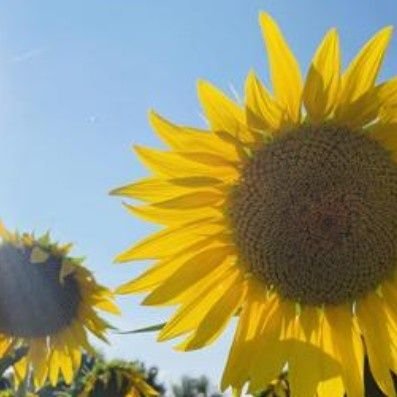 OiWi9xsMWW47071's profile picture. 