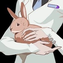 moiraslabrabbit's profile picture. he/him, adult / ow2 newcomer mainly here for silly stuff + art / don't be weird