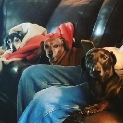 MLCVE1234's profile picture. Please no DMs. #Trump4America Follow back fellow Patriots 🇺🇸 #WWG1WGA LSU Tulane Saints