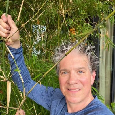 wilison90480's profile picture. 