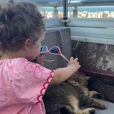 TomaYouo10086's profile picture. والارواح منها الرطب ومنها العطب والقلوب الوان وكل نفس لها عنوان واوان 🐼