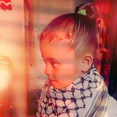 Moh1982H2967's profile picture. 😔We in Gaza no longer aspire to anything more than a small circle of peace to protect us and a compassionate one to support us to survive.
To support us, click
