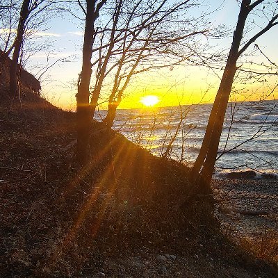 treeclowntops's profile picture. Attempting to be silent. 
 It is not easy.