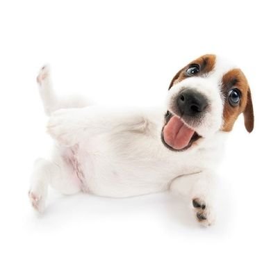 neemis1984's profile picture. É exatamente assim que minha mente funciona