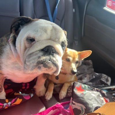 daviddonald38's profile picture. 