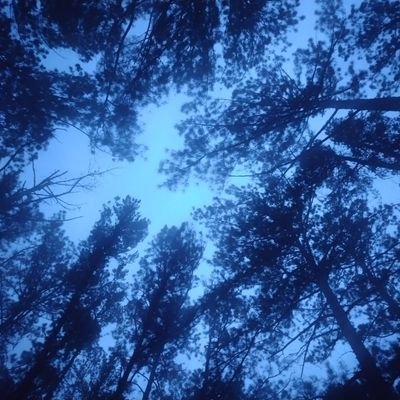 Weldit4uWa's profile picture. 