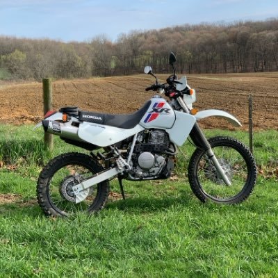 dualspor1's profile picture. 