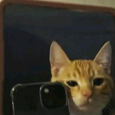 soraskywalker_'s profile picture. 20↑ • alter ego | dumps, rants and kalat account.... sssssshhhhhh🤫