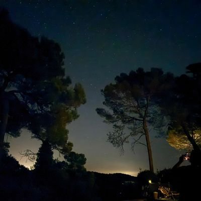 ChenXBT's profile picture. Survivor of 2020 crash, Luna Crash, FTX collapse, and co.
328% winrate - 999999:1 RR strategist.
Lmao
N&T Capital