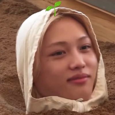 igotskzz's profile picture. • eu e o felix fazendo compra na team wang •24yo