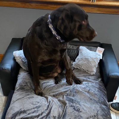 AnnaPaulin8413's profile picture. Personal Account for Congresswoman Luna✨Mom🤍WIFE •USAF Veteran