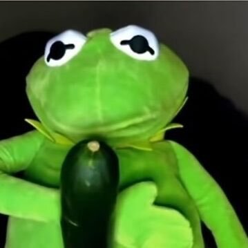 1antifragile's profile picture. who do you think you are? i am