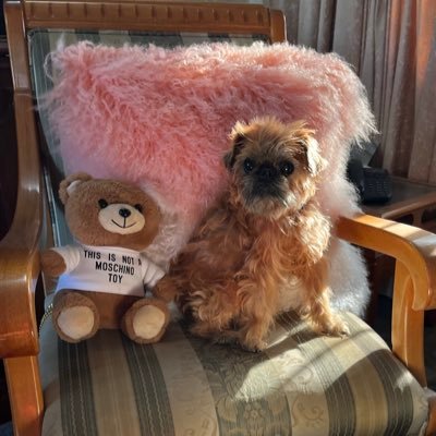 whore_80's profile picture. Biólogo 🧪 🧫🧬 Mega de izquierda 🤳🏽🧋🐾❤️ Con el #VirusComunista 🐻🦠#QueMeAnotenenlaLista 📝 #Veracruz #AbrazosNoBalazos 🌸🕊☮️✌🏼🎶