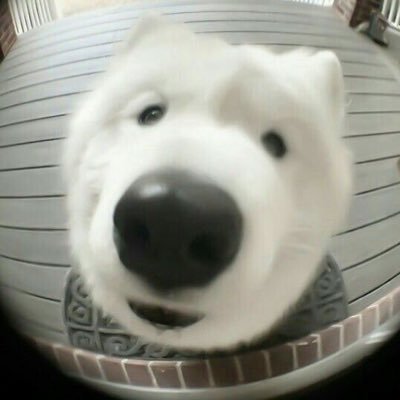 gkje0406's profile picture. 