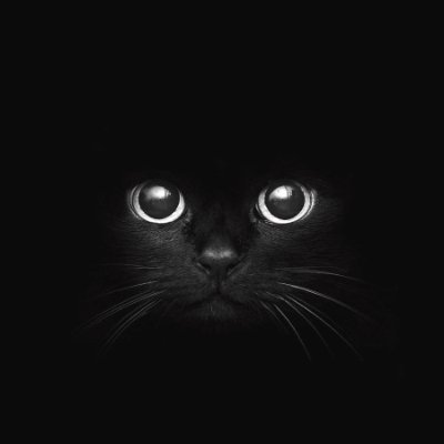 JetBlacKat's profile picture. Just a streamer doing my thing | Come vibe with me live
https://t.co/nwT8w7K5OT
https://t.co/PPk6n6HW8j