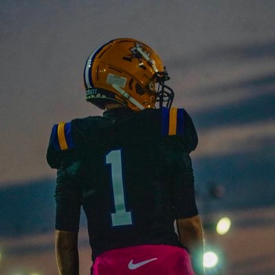 Gavan Towndrow Profile