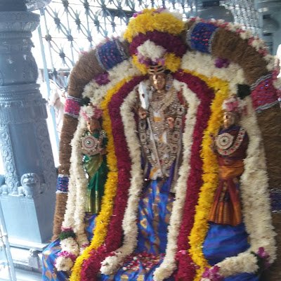 DaThala99815's profile picture. 