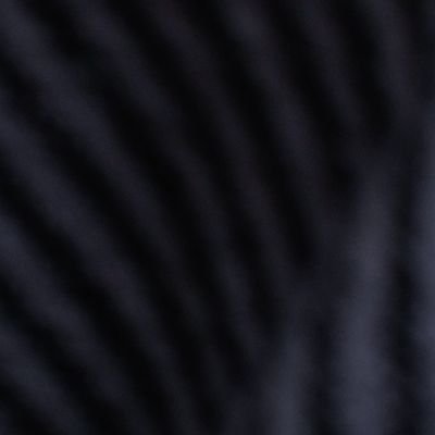 keeslarklk's profile picture. Democrat ○  Animal lover 🐾 • Desert Dweller🌵