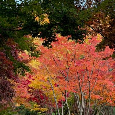 istvrlightt's profile picture. 