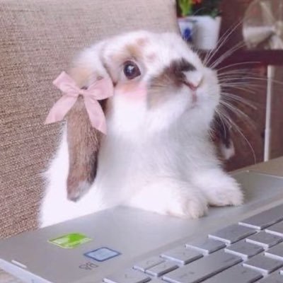 Awsfavagain's profile picture. 