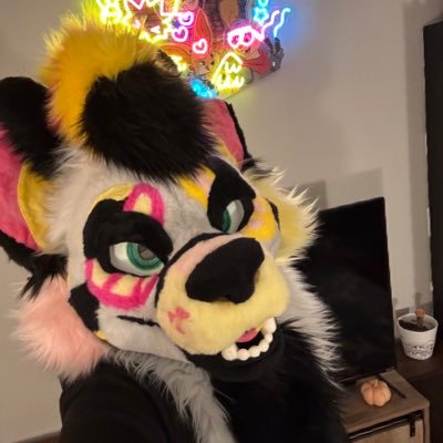 TheStyloNoodle's profile picture. 💛Stylo🩷 |East Tn Fur|23|Husky boi and his bunny girl| 🔞 @driftbunnyad🩷