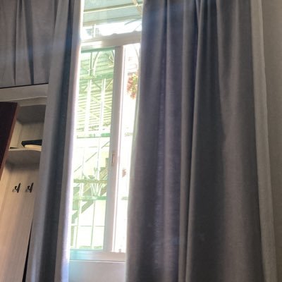 zhongping819's profile picture. 