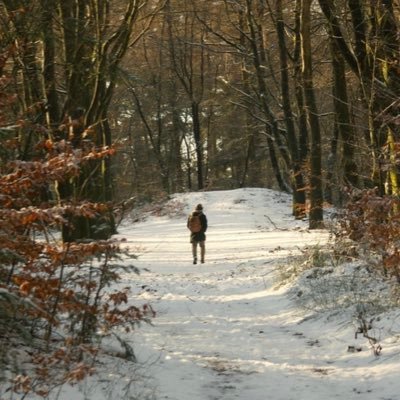 Ashx_app's profile picture. 