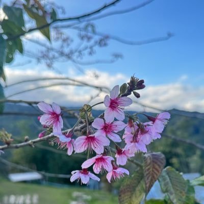 MOKKUY1221's profile picture. 