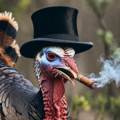 GobblerAngry's profile picture. Va Tech Fan account