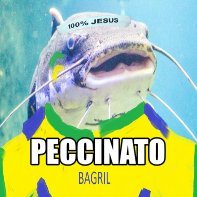 LGPeccinato's profile picture. SA Professional Coach @PlayOverwatch for @GoodfellasOW Cosmos