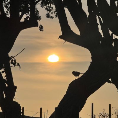 dieph__'s profile picture. 