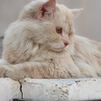 bj_pdy's profile picture. പണിപ്പുരയിലാണ്