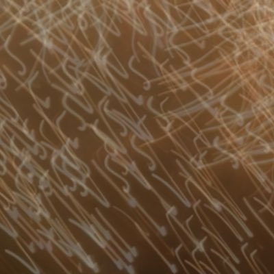 moonlitsignal's profile picture. fly-by-night picture mover