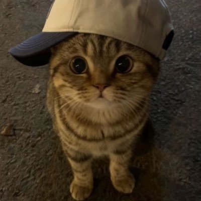 btsclp's profile picture. 