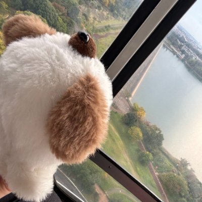 1224SSbiglove's profile picture. 成人済み🚹/🐊FF14🐊/🐟️鷹梁ミナト🐟️/🐤S.C.NANANET🐤/FRAME P 信玄誠司/基本雑多垢