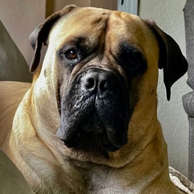 van_isler's profile picture. Retired Registered Nurse, husband, happy life, a very proud Canadian. The USA...an incredible country. I’m an open minded liberal. ****NO DM’s****