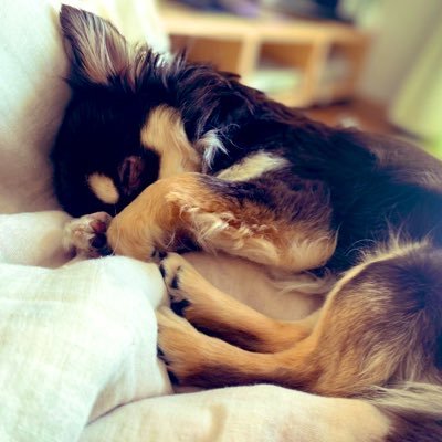 aina_318D's profile picture. アイナ アユニ 西野カナ PIGGS THE ORAL CIGARETTES 04Limited sazabys My Hair is Bad HEY-SMITH Novelbright ELLEGARDEN 𝑺𝑼𝑷𝑬𝑹 𝑩𝑬𝑨𝑽𝑬𝑹 邦ロックとライブが大好きなサラリーマンです