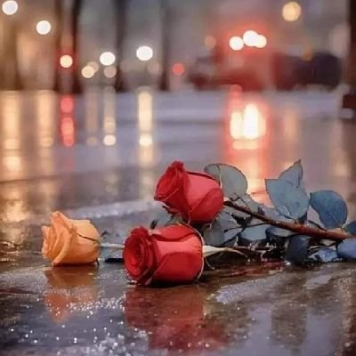 Pindiboy2025's profile picture. Patriotic, Motivational & Hardworking..