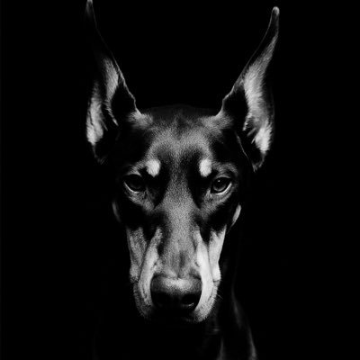 Tuấn Vàng 🧌 | Thợ Xây Công Cụ Trading Profile